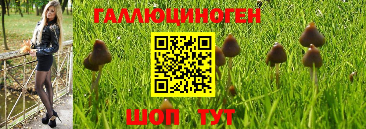 Химки  Псилоцибиновые грибы мухоморы  купить закладку  Вход с VPN 