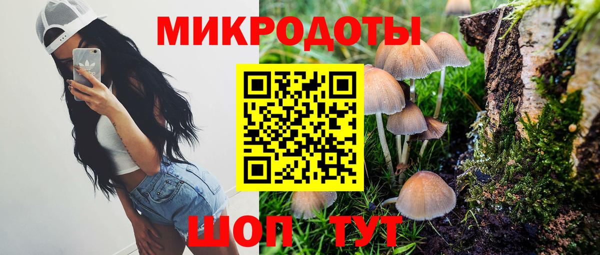 Галлюциногенные грибы GOLDEN TEACHER Химки